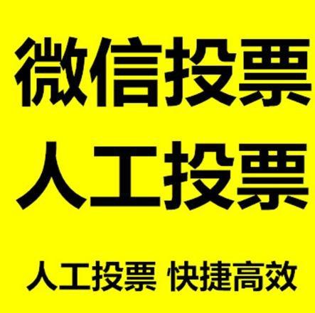 长治市投票活动拉票能被查出来吗？如何操作能不被发现？